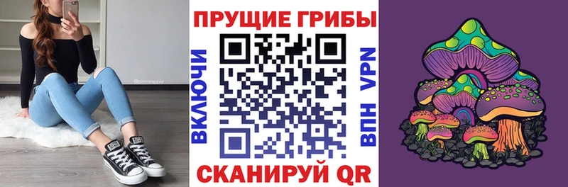 Псилоцибиновые грибы Psilocybine cubensis Волжский